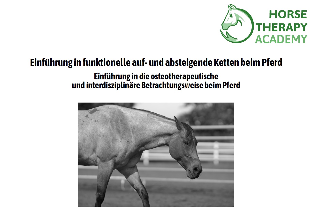 Funktionale Ketten – Bild 3