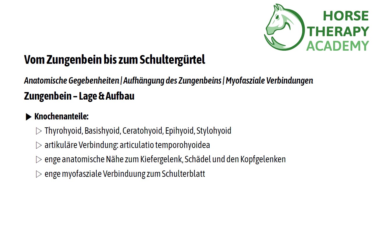 Funktionale Ketten – Bild 4