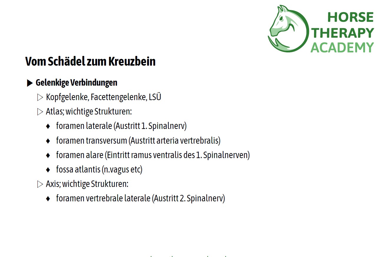 Funktionale Ketten – Bild 5