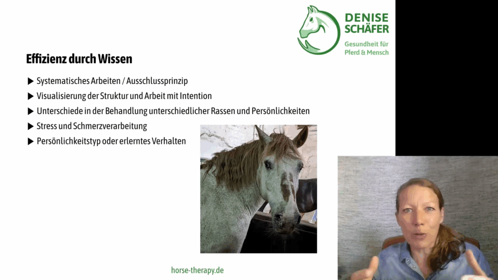 Methodik für Therapeuten – Bild 5