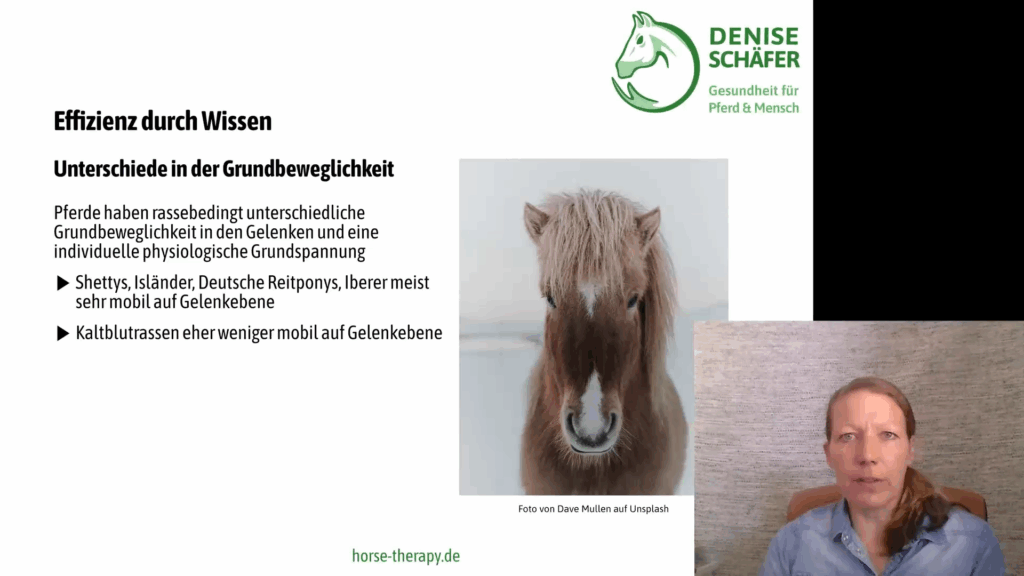 Methodik für Therapeuten – Bild 4