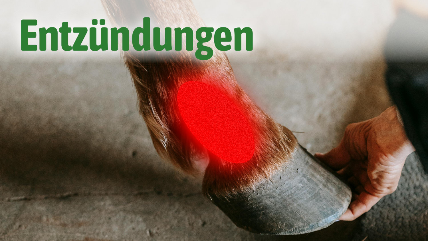 Entzündungen: 360°-Therapie