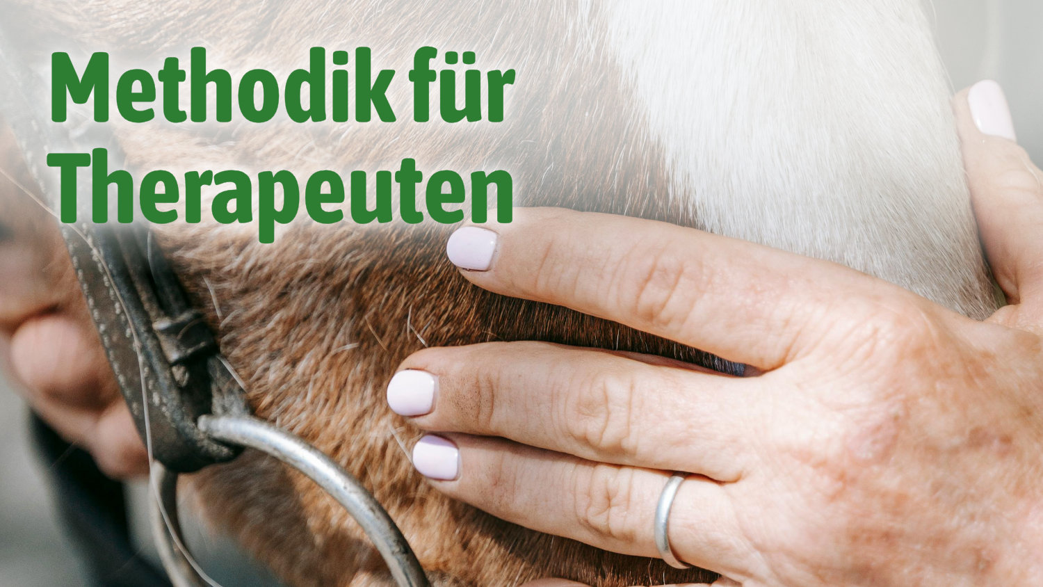 Methodik für Therapeuten