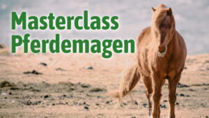 Masterclass Pferdemagen